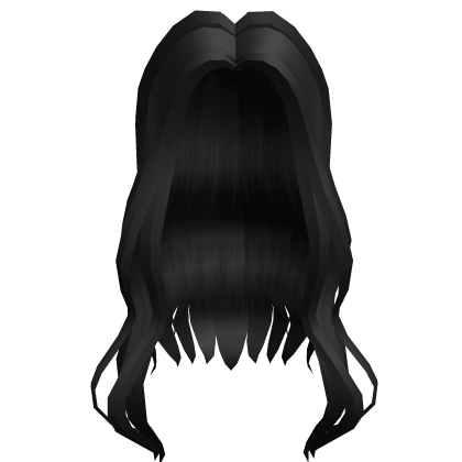 Black curly everyday hair Roblox item