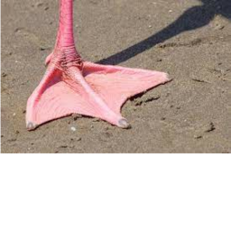 ESCAPE FLAMINGO TOE OBBY!!!