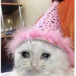 GIVE to my friend