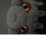 Mom 5856 group