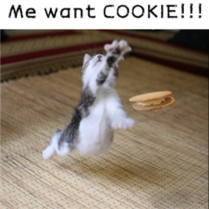 Funny Decal For LOLcats Roblox decal