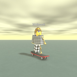 skate time