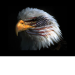 USA | United States Army 1944