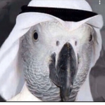 SULTANZKD12 لو تبا روبكس ادخل علي وا اعطيك