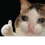Sad kitties
