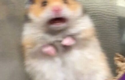 SCARED BOI