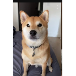 Group for people who watch anime