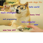 Doge The Cutie =3