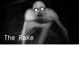 survive the RAKE
