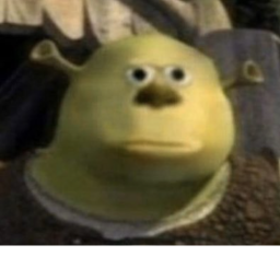 shrek hangout