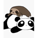 Sloth and panda squad