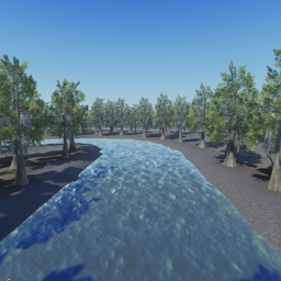 Southern Swamp