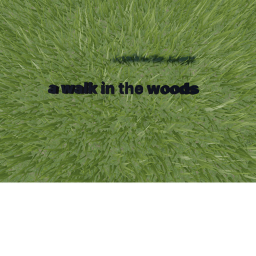 a walk in the woods