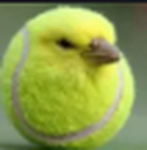 Kiwi ball