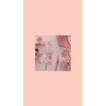 notcasper