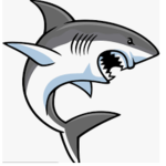 Shark Studios Zoo
