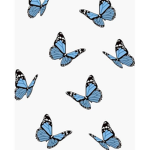 Butterfly~Clothing