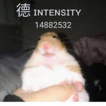 德 ɪɴᴛᴇɴꜱɪᴛʏ
