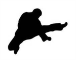 Kicks Martial Arts™
