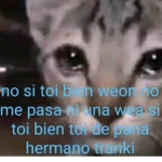 CATT1E