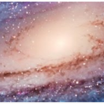 Seargalaxy fan club