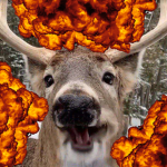 Exploding Deers Inc.