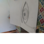 MY Skylight