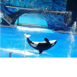 Shamu Stadium Orlando