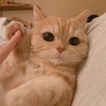 GᖇOᑌᑭ Oᖴ ᗰEOᗯᔕ