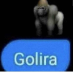 Brysss and friends get robux