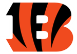 bengals fans