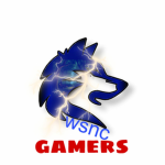 wild spirit gamer