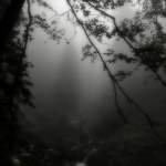 Zoolith Group Thumbnail