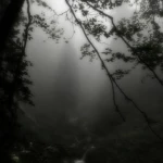 Zoolith Group Thumbnail