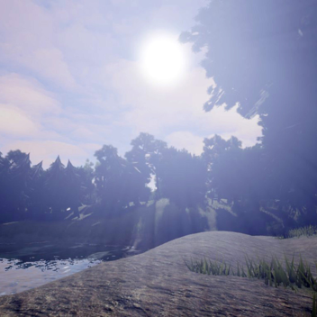 forest