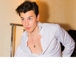 true shawn mendes fans