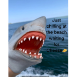Shark puppet reacts and gaming Fan group