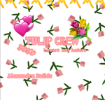Tulip Crew