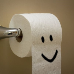 Escape Toilet Paper Obby