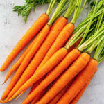 the group of carrots