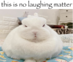 this is a no laughing matter