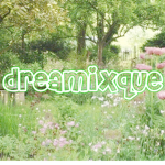dreamixque