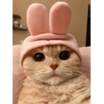[리암-소통그룹]