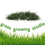grass growing studio