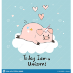 Pig Cloud Unicorn