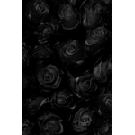 Group•Black
