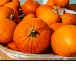 PUMPKIN ARMY UNITED