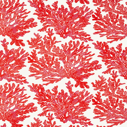 coral wallpaper 1 Roblox decal