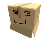 boxs army