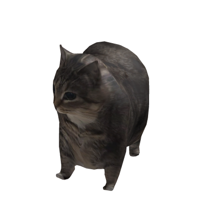 Goofy cat